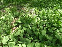 Itt nem azonosítható